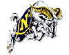 Navy logo